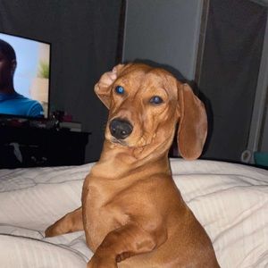 Meet your Posher, Isaac